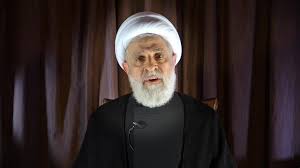 الشيخ نعيم قاسم يحسم قرار السلاح