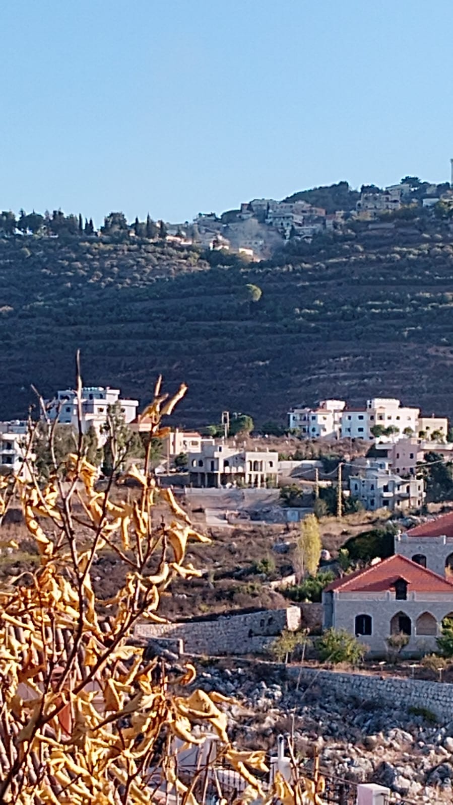 استهداف سيارة في عين قانا