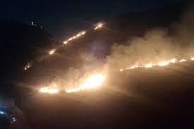 حريق #المطلة #جليلية #الزعرورية