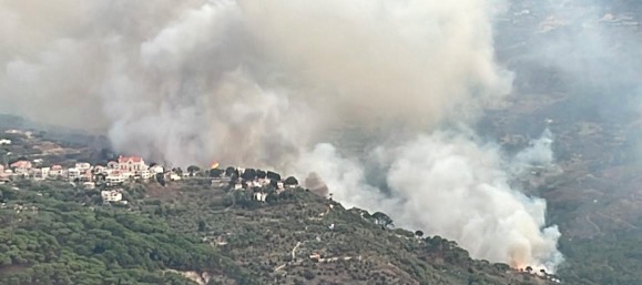 حريق بين الغباطية وبكاسين وعاراي