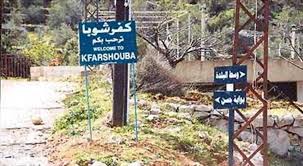 إصابة راع ونفوق اغنام بقنبلة من مسيرة معادية جنوب كفرشوبا