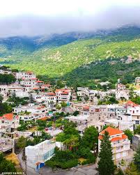 جريمة مروعة في معاصر الشوف والبلدية تدعو إلى ضبط النفس