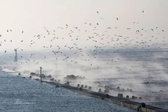 زلزال عنيف بقوة 7.6 درجات يضرب اليابان وتحذيرات من تسونامي