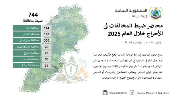 وزارة الزراعة: ضبط 744 مخالفة خلال عام 2025 ضمن محاضر ضبط المخالفات في الأحراج