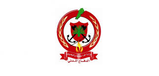 #الدفاع_المدني يوثّق بالفيديو سقوط #طيّار_شراعي في حرج عين ورقة – غوسطا ويؤكد سلامة الجميع