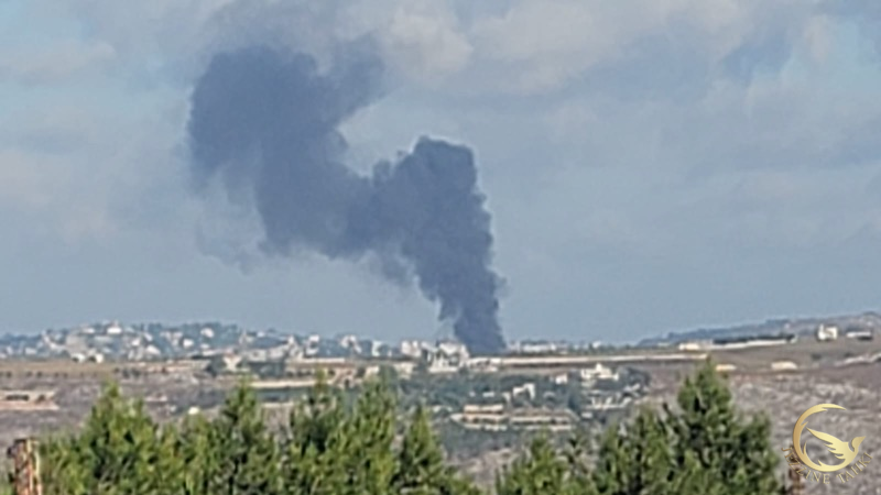 افاد مراسل جزين تحكي لطف الله ضاهر عن قصف مدفعي على كفرتبنيت تسبب باندلاع حريق كبير