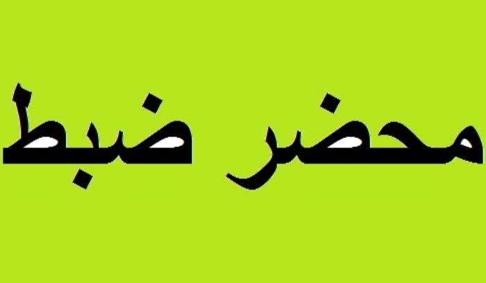 5 محاضر ضبط في حق أصحاب مولدات مخالفين في المية ومية وبقسطا والهلالية وصيدا الدكرمان