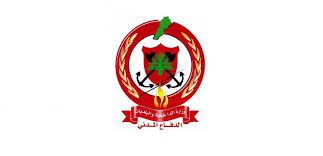 الدفاع المدني: أخمدنا حريق أعشاب في بخشتيه بقضاء عاليه ومنعنا امتداده إلى المساحات المجاورة