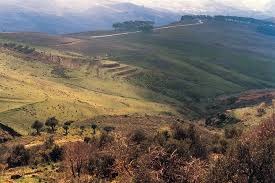 اقرار مشروع قانون انشاء محمية طبيعية في جبل الريحان