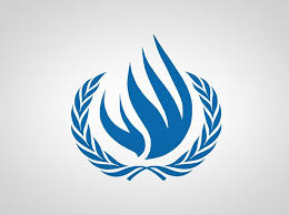 مجلس حقوق الانسان الأممي يتبنى قرار حظر تصدير السلاح لاسرائيل