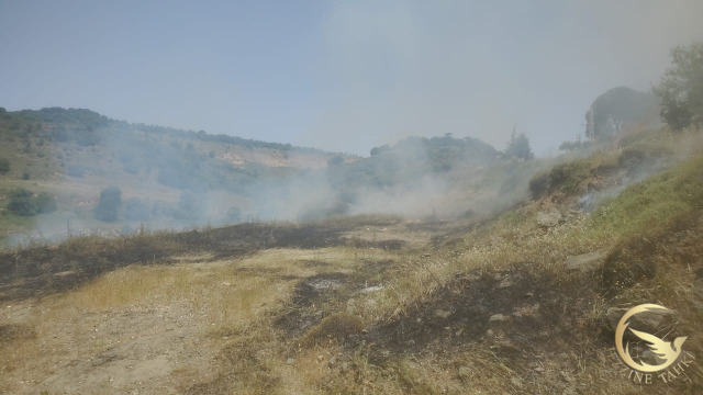 حريق في العيشية-جبل الريحان قضاء جزين