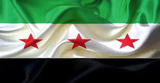 الهجرة الدولية: عودة أعداد كبيرة من النازحين السوريين إلى ديارهم ستضغط على البلاد وقد تؤثر على عملية السلام الهشة