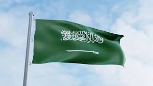 الجديد: دعوة سعودية واضحة للبنان لاتخاذ خطوات عملية مع التحذير من التصعيد بديلًا للتسوية
