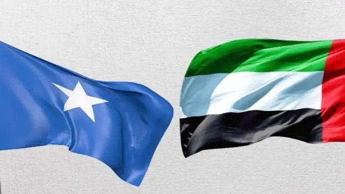 ا.ف.ب: الصومال الغى كل اتفاقاته مع الإمارات العربية المتحدة