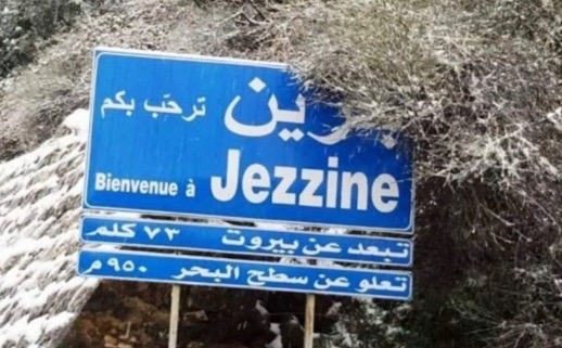 أنتم عبء على جزين… (إيلي كرم)