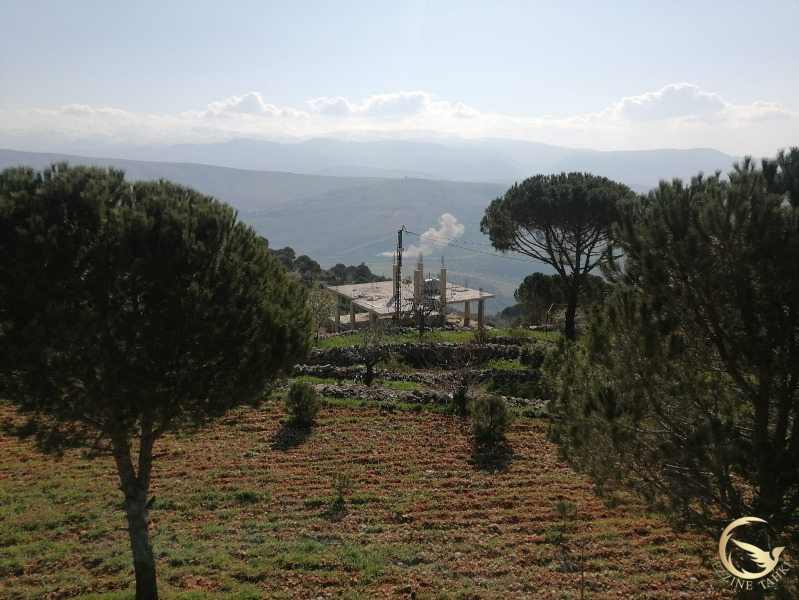 غارة على الدلافة