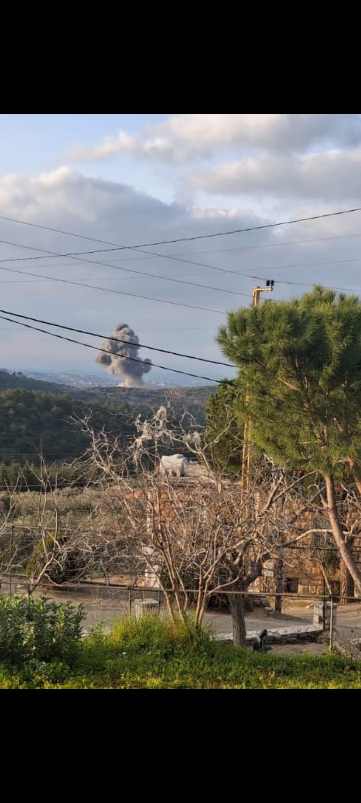 غارة على بصليا