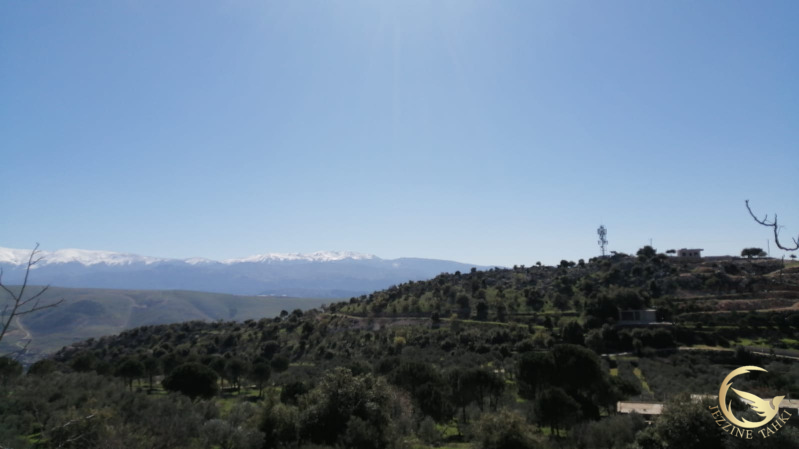 قصف مدفعي على خراج شبعا