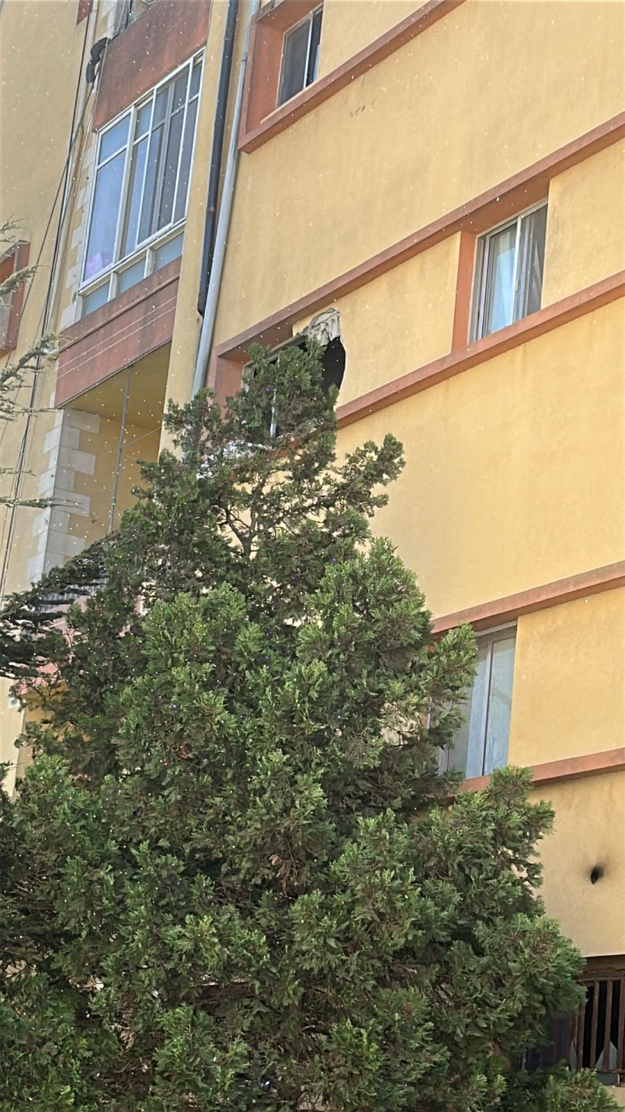 قذيفة دبابة إسرائيلية اصابت مبنى في بلدة القليعة ما أدى إلى استشهاد رجل وطفلة