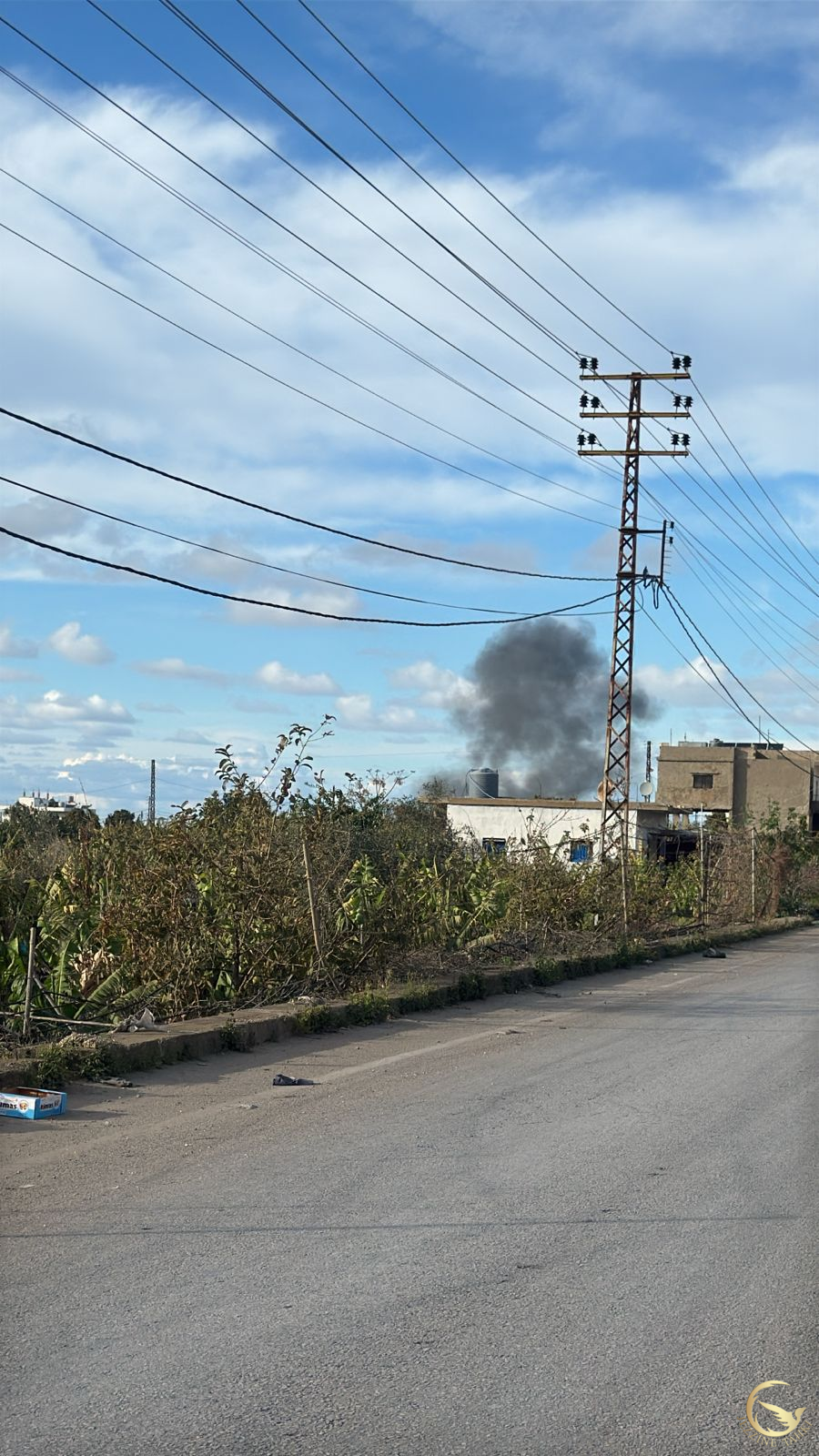 غارة على البرغلية