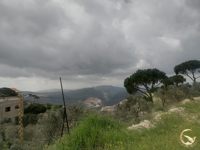 جزين تحكي: غارة على دبين