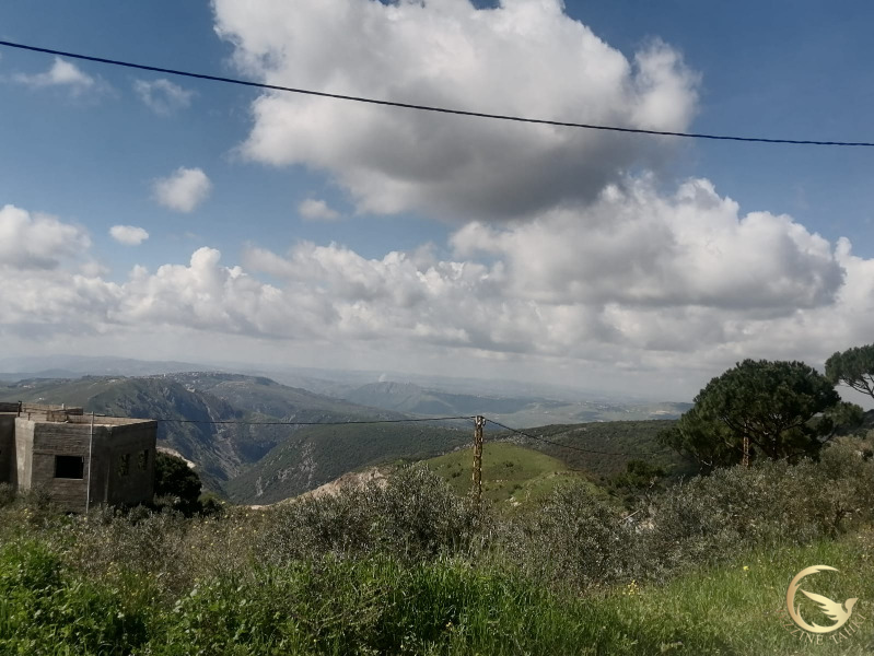 أفاد مراسل جزين تحكي جوني كيوان عن غارة مجددا على يحمر الشقيف