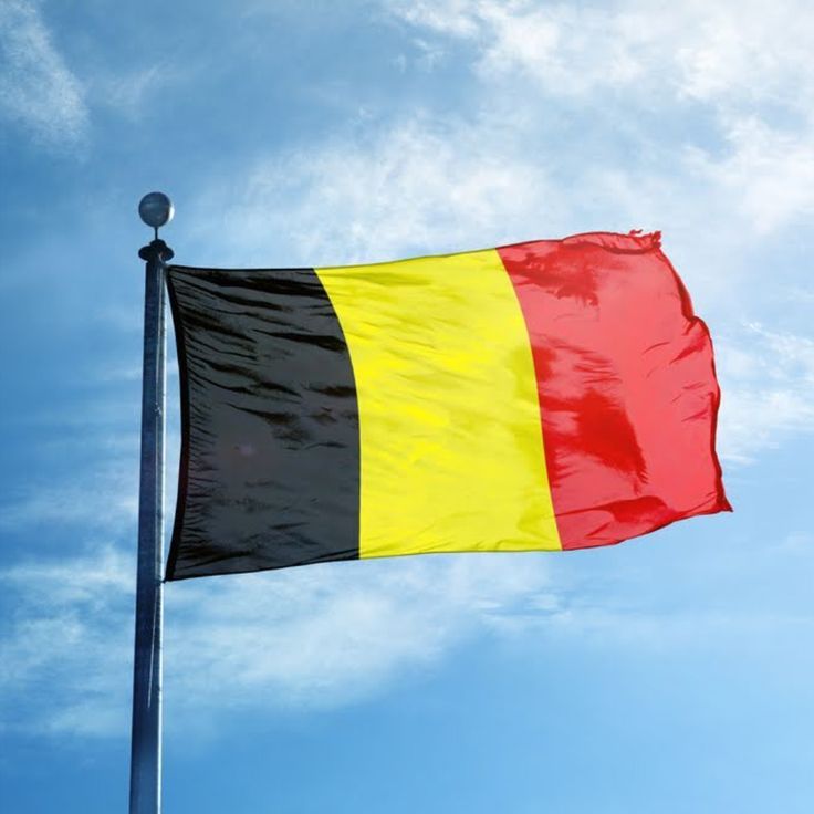 بلجيكا تصادر شحنة اسلحة معدة للتصدير الى اسرائيل سرا