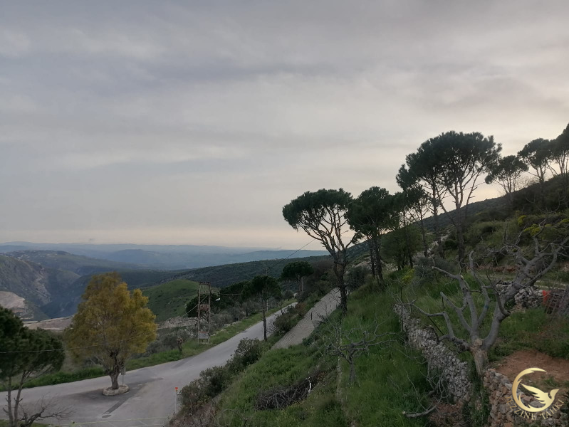 أفاد مراسل جزين تحكي جوني كيوان عن قصف مدفعي على محيط النبطية