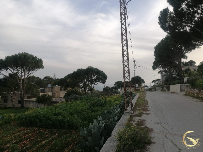 افاد مراسل جزين تحكي جوني كيوان عن غارة على يحمر الشقيف