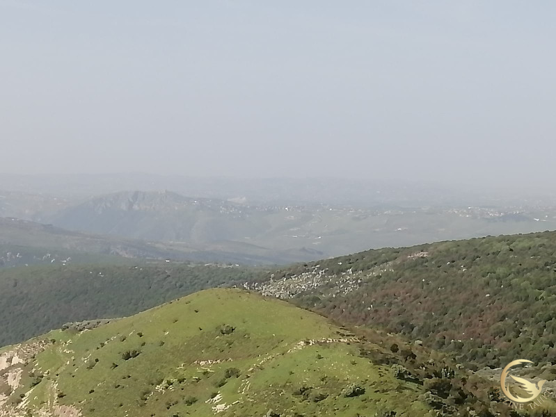 أفاد مراسل جزين تحكي جوني كيوان عن غارة على يحمر الشقيف