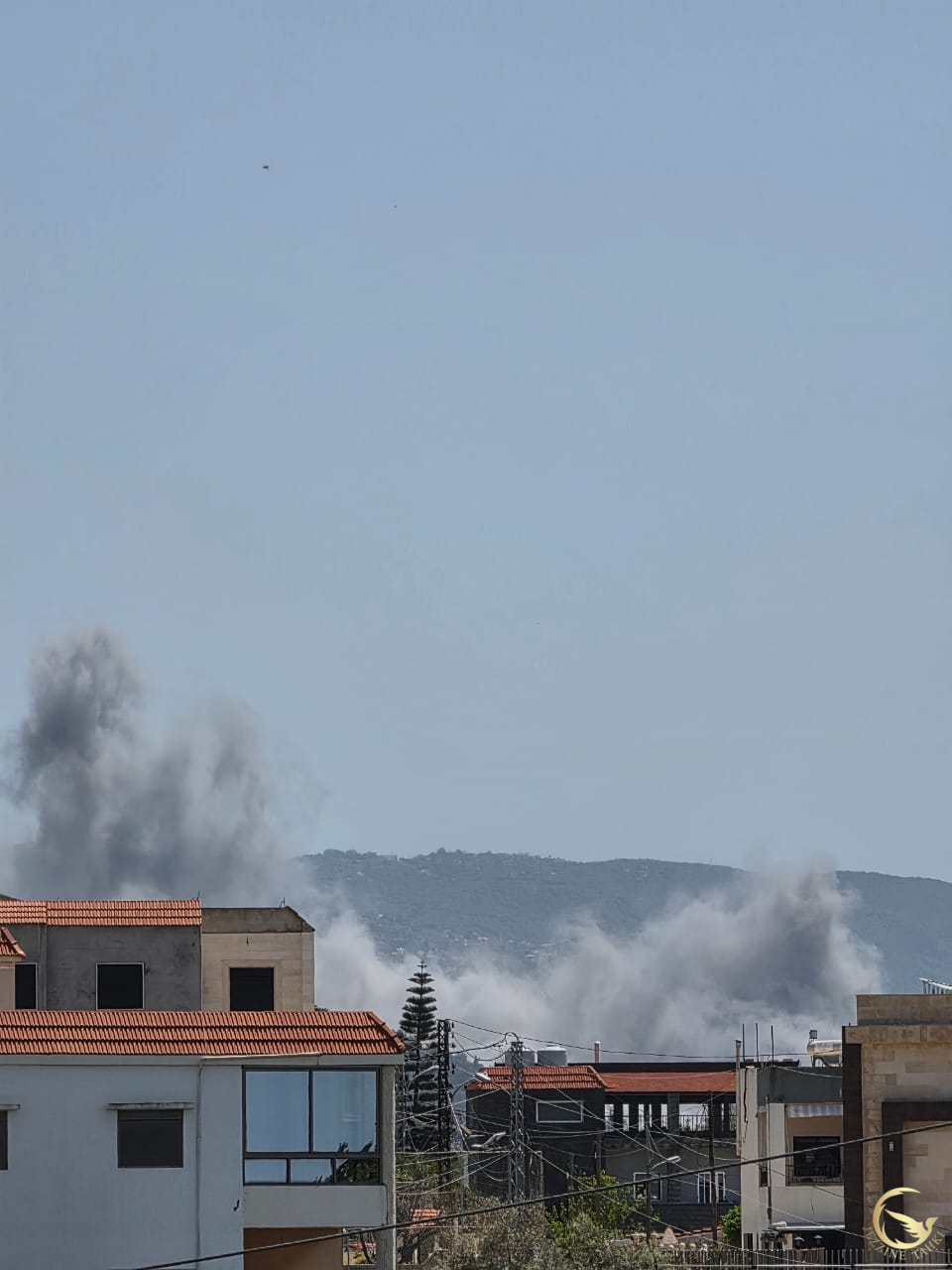 غارة على بصليا