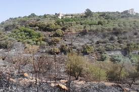 افاد مراسل جزين تحكي جوني كيوان عن ان رغم وقف اطلاق النار لا تزال التفجيرات العنيفة لا سيما في رب الثلاثين تسمع بشكل متواصل في القرى الحدودية وتسبب باهتزازات قوية في القرى المجاورة