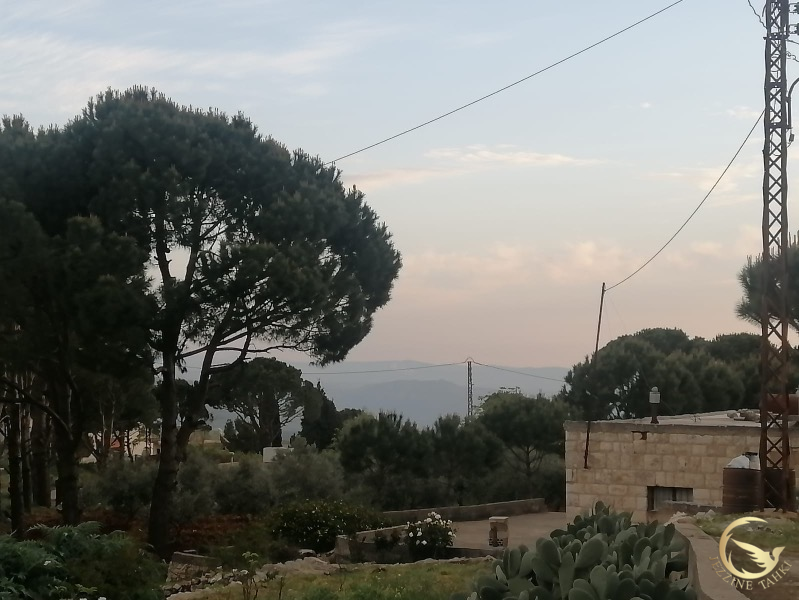 افاد مراسل جزين تحكي جوني كيوان عن غارة على القصير