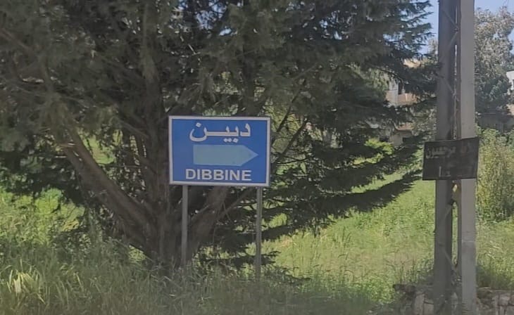غارتان صباحا على دبين (لطف الله ضاهر)