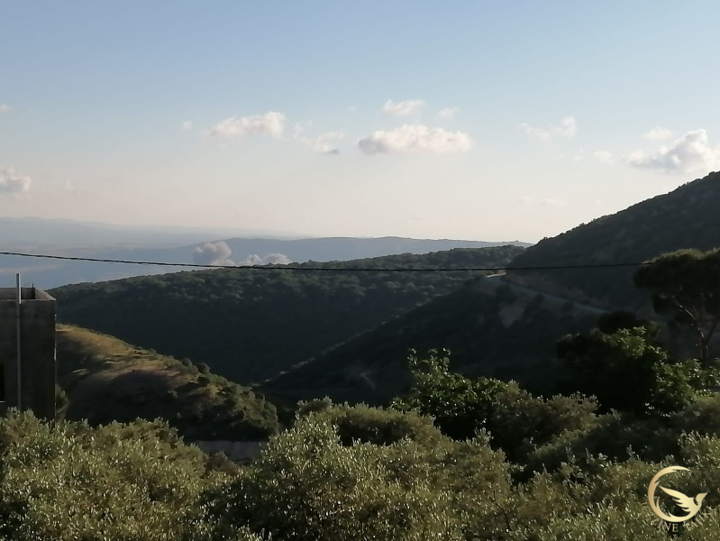 غارة على شبيل الزورة