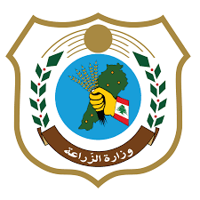 وزارة الزراعة تدعو الجمعيات والنحالين لتزويدها بملاحظاتهم حول تربية النحل