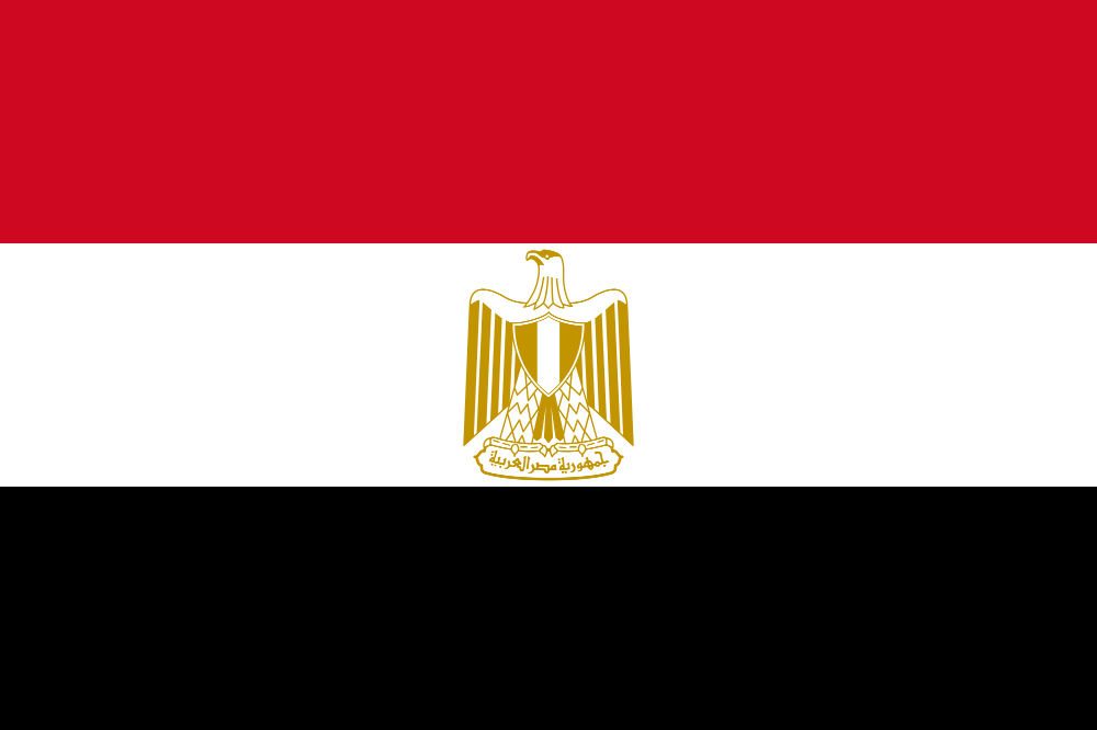 سكاي نيوز: الفصائل الفلسطينية ستوقّع على الورقة المصرية خلال الساعات المقبلة